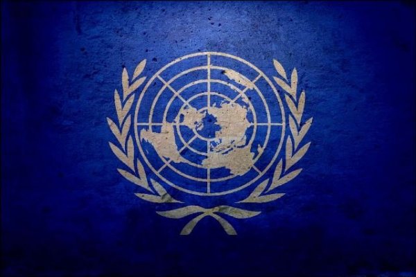 Reprodução/Internet Logotipo oficial da Organização das Nações Unidas.