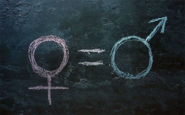 Reprodução/Internet Símbolos feminino e masculino escritos em quadro negro, com um sinal de igualdade ao meio.