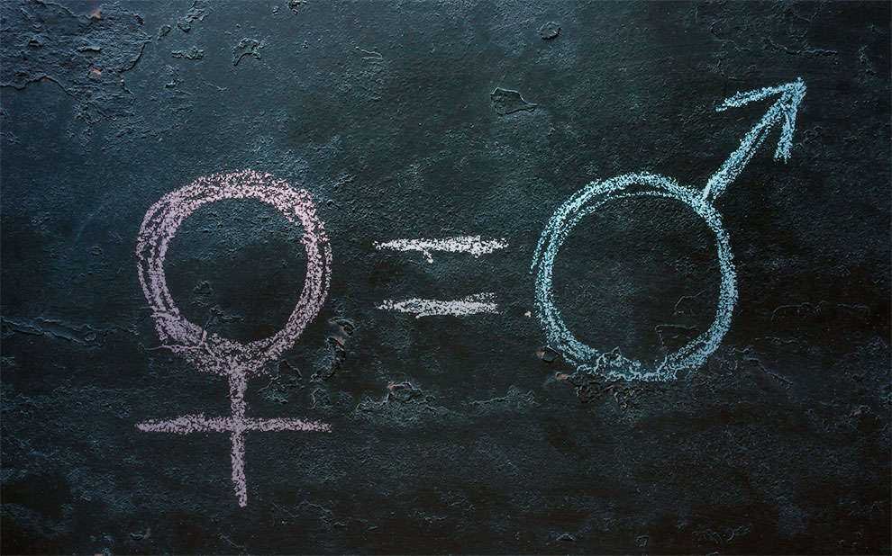 Símbolos feminino e masculino escritos em quadro negro, com um sinal de igualdade ao meio.