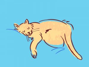 Dribbble/Eddie Fieg Ilustração de um gato dormindo.