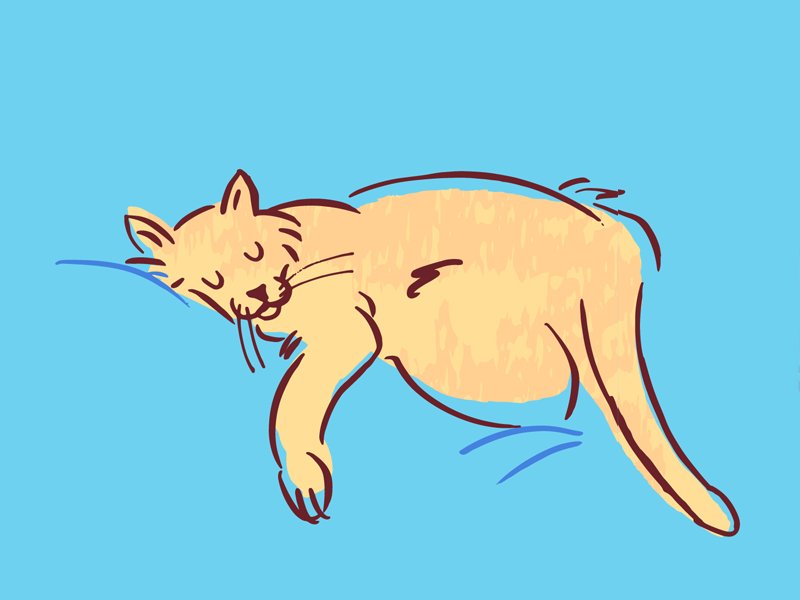 Ilustração de um gato dormindo.