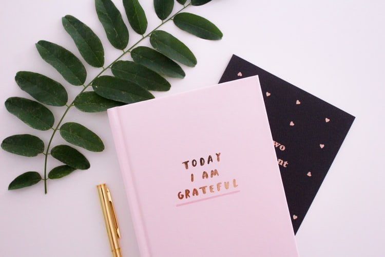 Caderneta rosa com a frase 'Today I Am Grateful' (hoje eu sou grato, em inglês) e ramo de planta ao lado