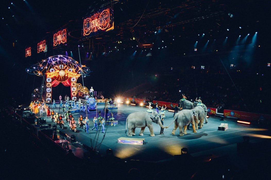 Espetáculo circense com elefantes e muitos artistas.