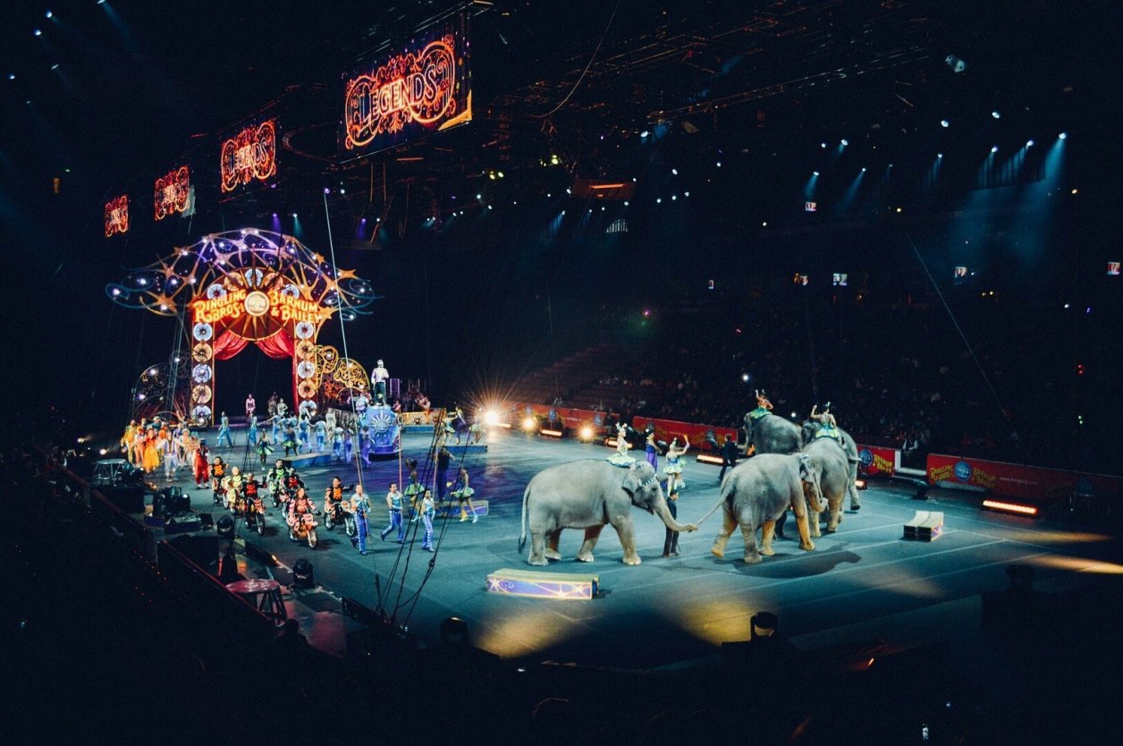 10 motivos para trabalhar no circo. Faça parte desse mundo!
