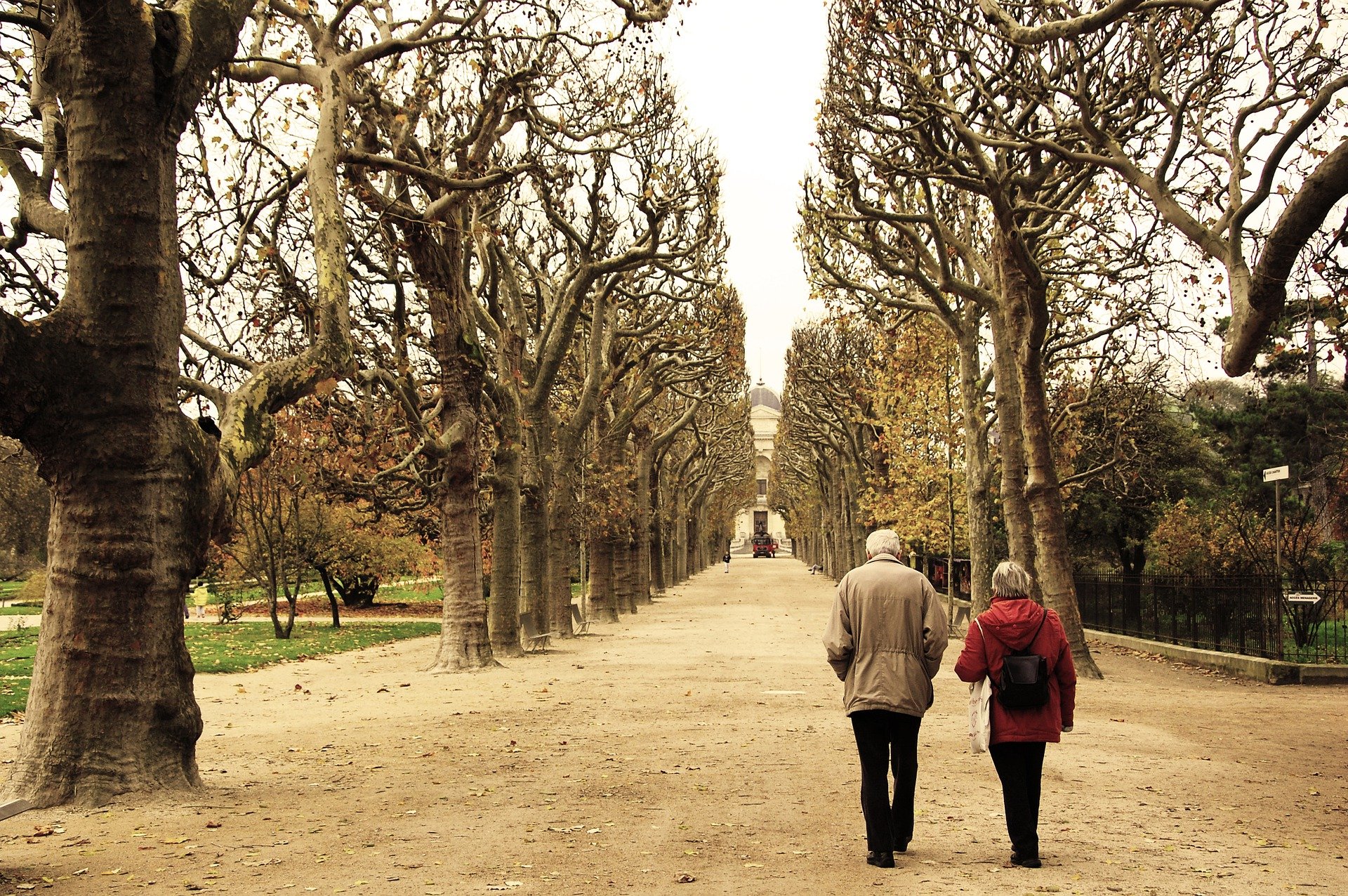 Casal de idosos caminhando em parque