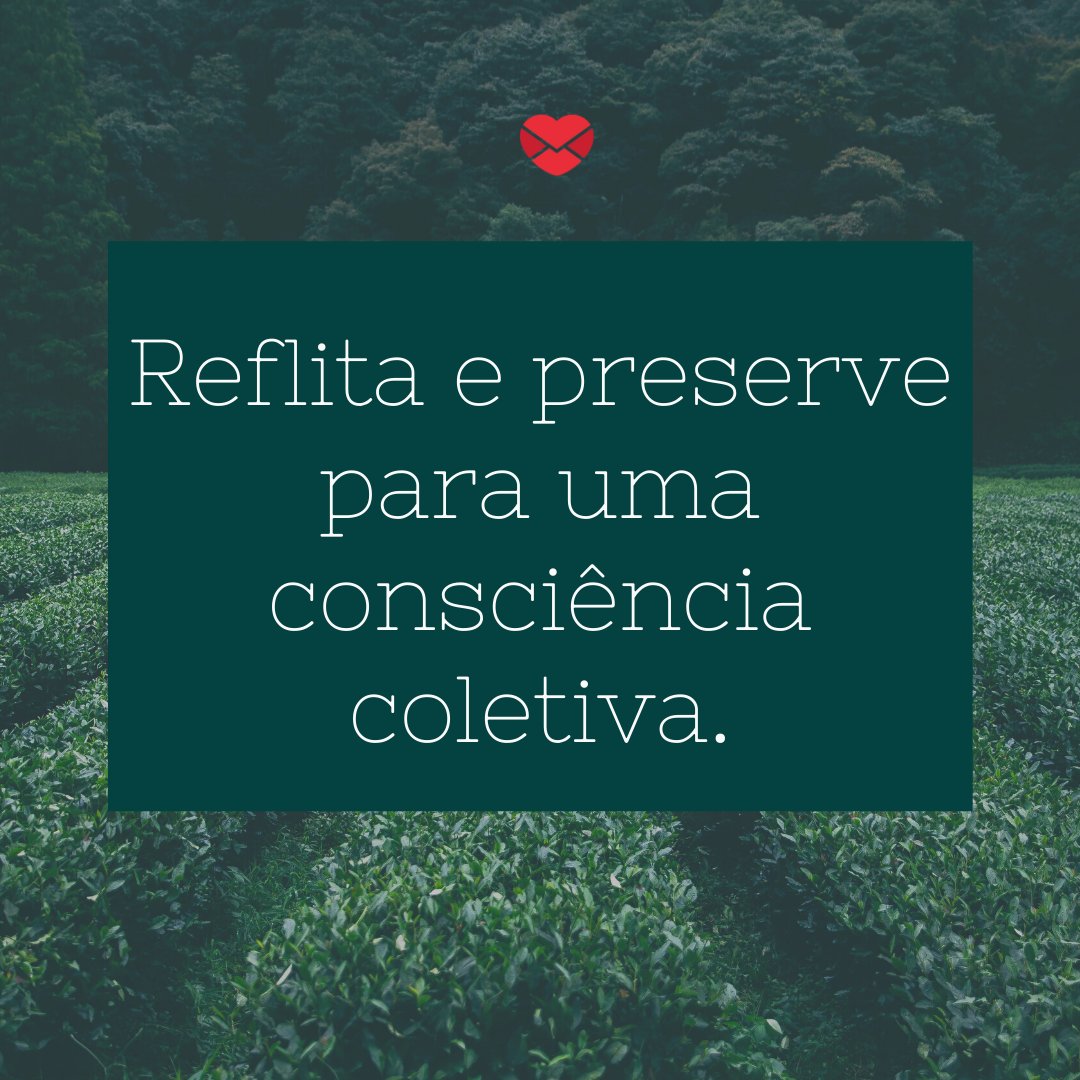 'Reflita e preserve para uma consciência coletiva.' -  Poemas sobre o Meio Ambiente