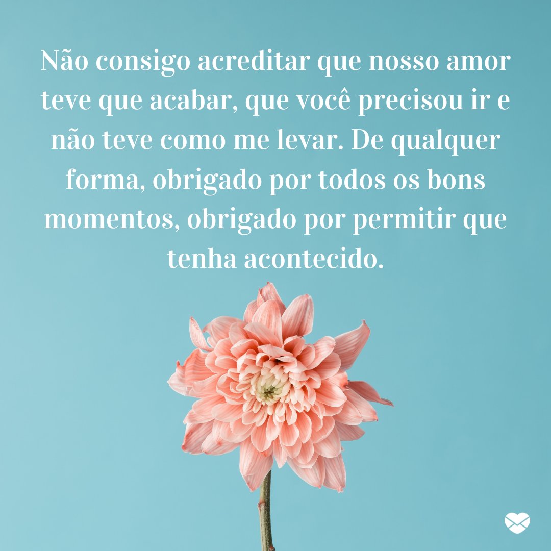 'Não consigo acreditar que nosso amor teve que acabar, que você precisou ir e não teve como me levar. De qualquer forma, obrigado por todos os bons momentos, obrigado por permitir que tenha acontecido.' -Mensagens de Amor