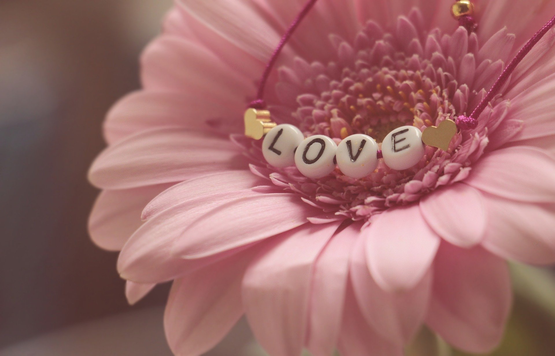 Flor com a palavra amor escrita em inglês
