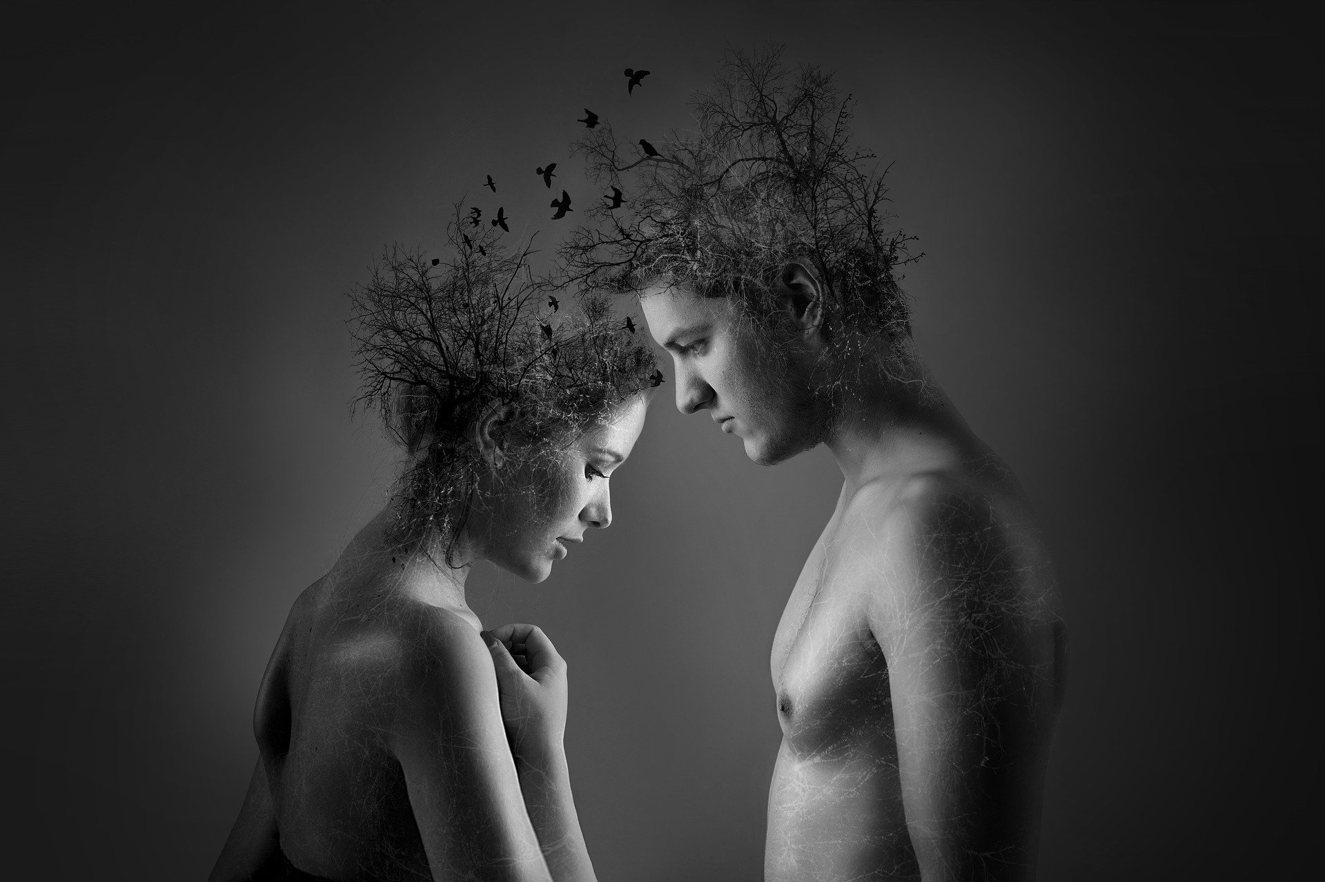 Ilustração gráfica de homem e mulher se conectando por meio de galhos saindo de suas cabeças