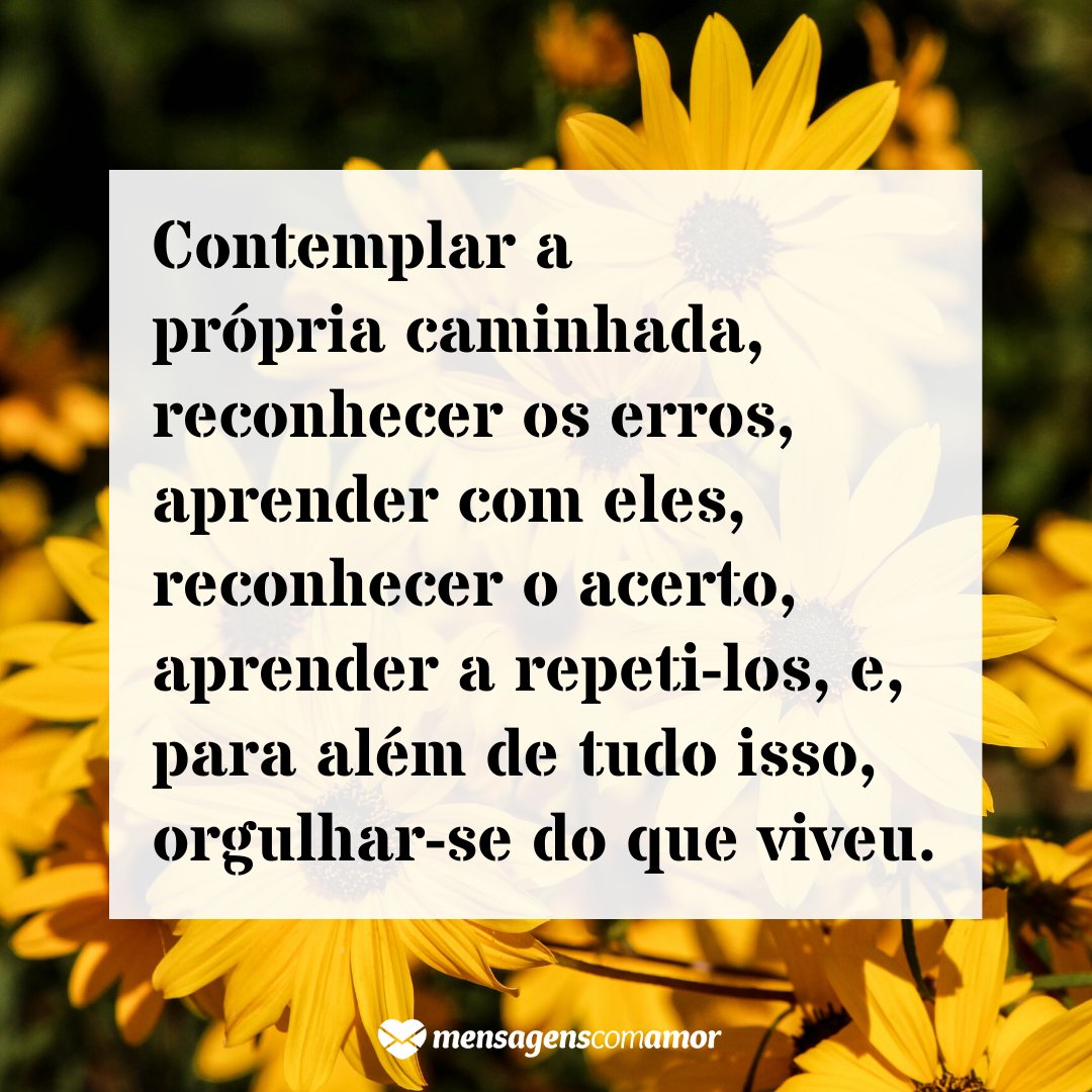 'De tudo o que está por vir, deve sobressair a esperança. Contemplar a própria caminhada, reconhecer os erros, aprender com eles, reconhecer o acerto, aprender a repeti-los, e, para além de tudo isso, orgulhar-se do que viveu.' - Frases de Dezembro