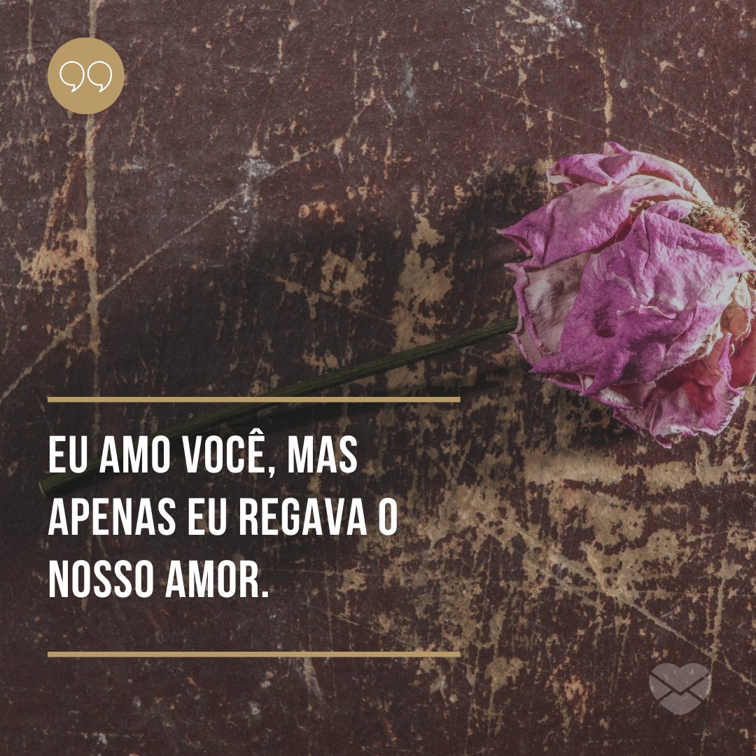 'Eu amo você, mas apenas eu regava o nosso amor.' - O amor não acabou, mas é hora de terminar