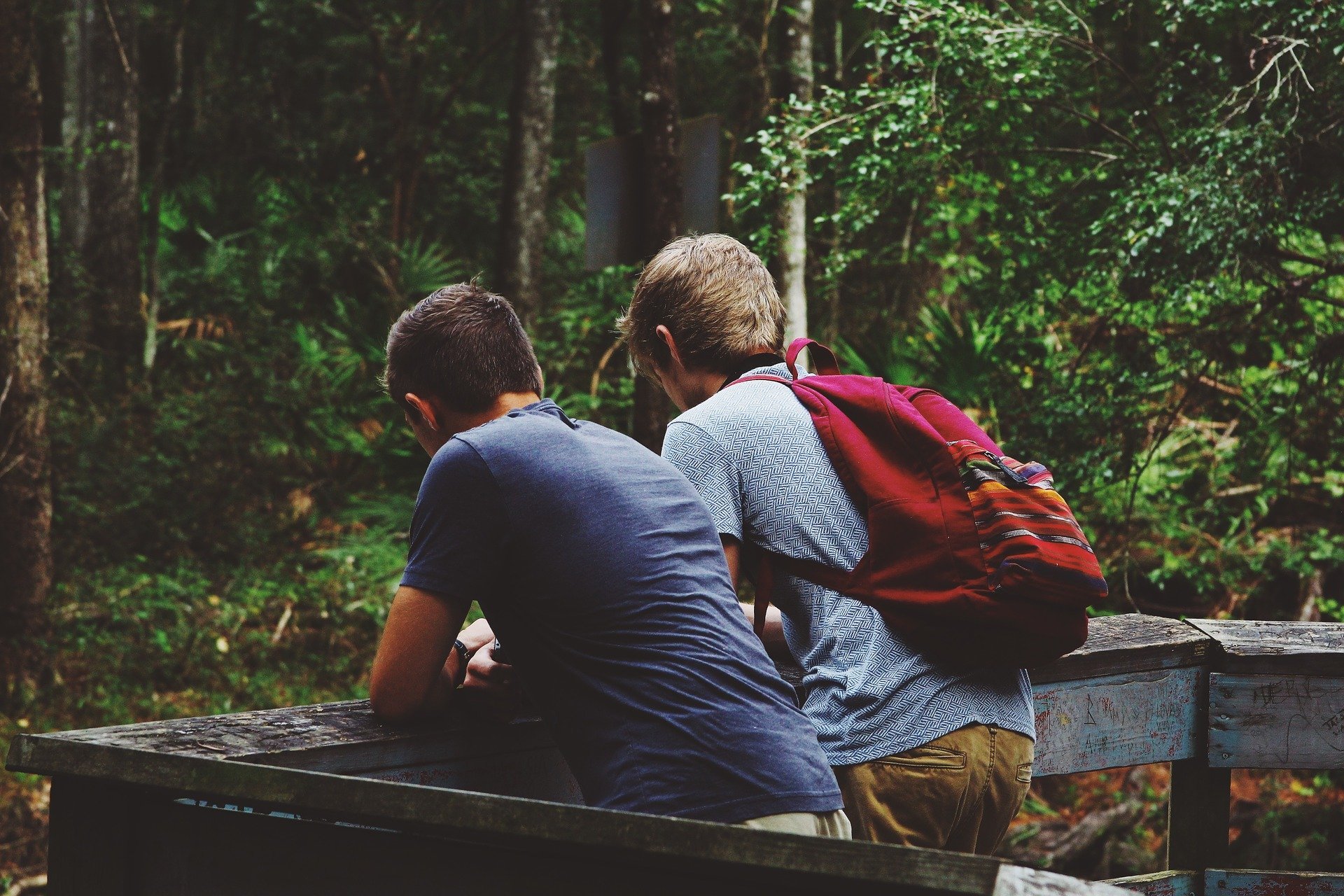 Dois amigos conversando em pier no meio de floresta