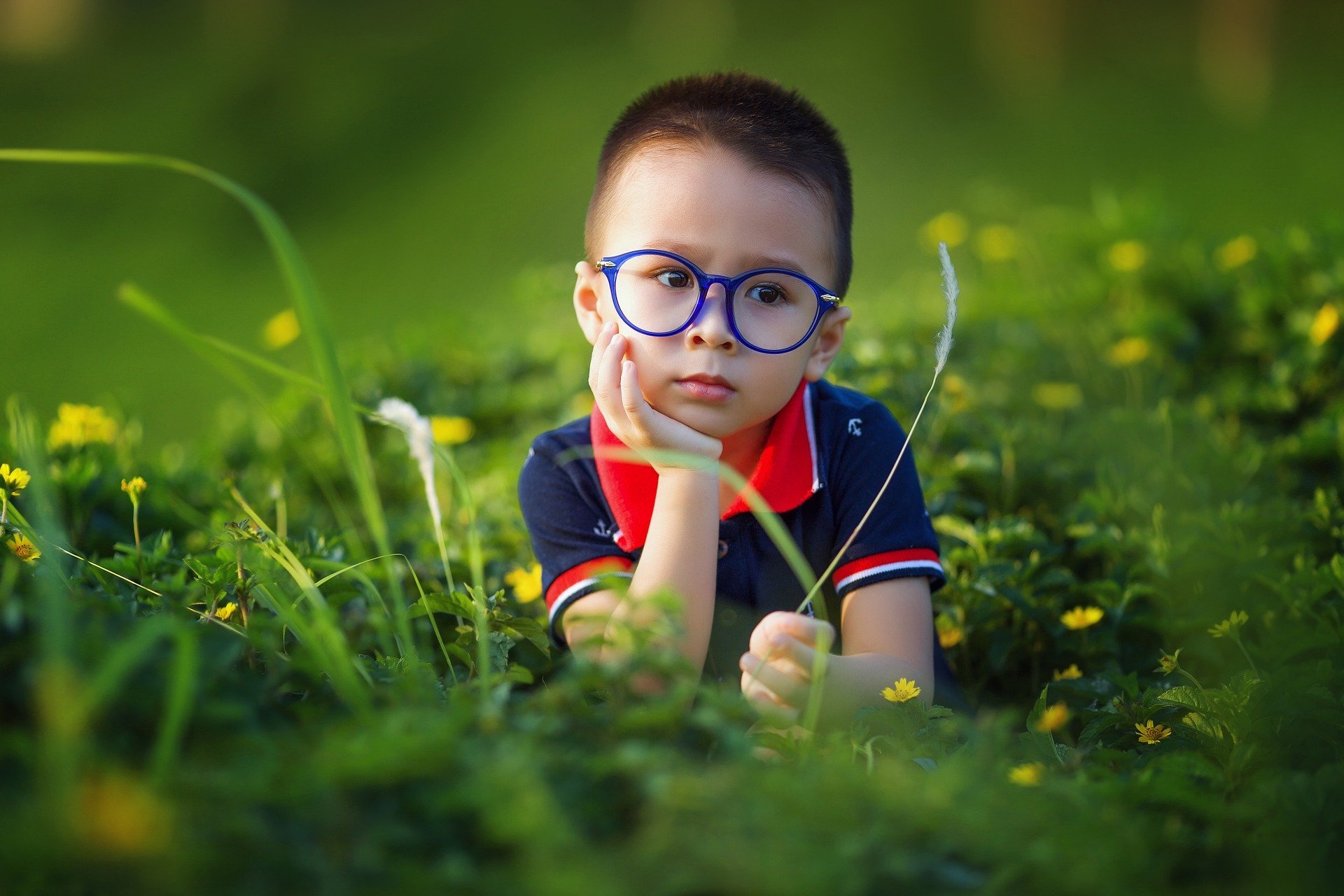 Menino pequeno, usando óculos de grau, apoiando seu rosto em uma de suas mãos, em campo de flores