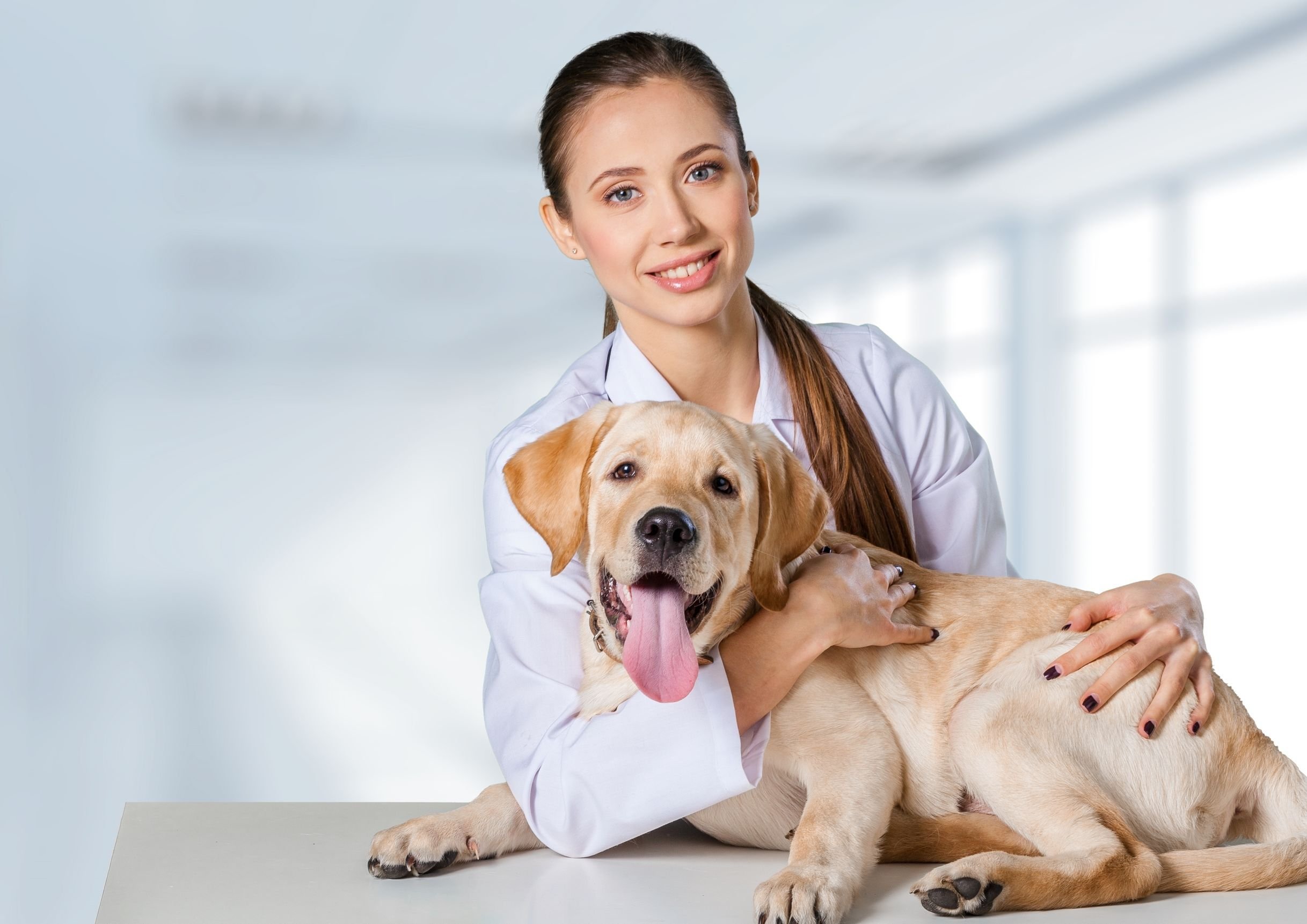 Médica veterinária sorrindo enquanto abraça cachorro