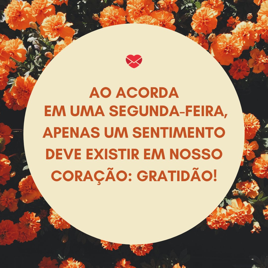 'Ao acordar em uma segunda-feira, apenas um sentimento deve existir em nosso coração: gratidão!' - Bom dia segunda-feira