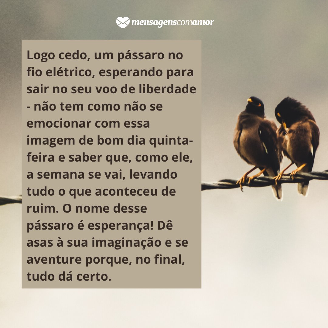Pássaro no fio - Mensagem de bom dia para quinta feira - Bom dia Pássaro no fio - Mensagem de bom dia para quinta feira - Bom dia