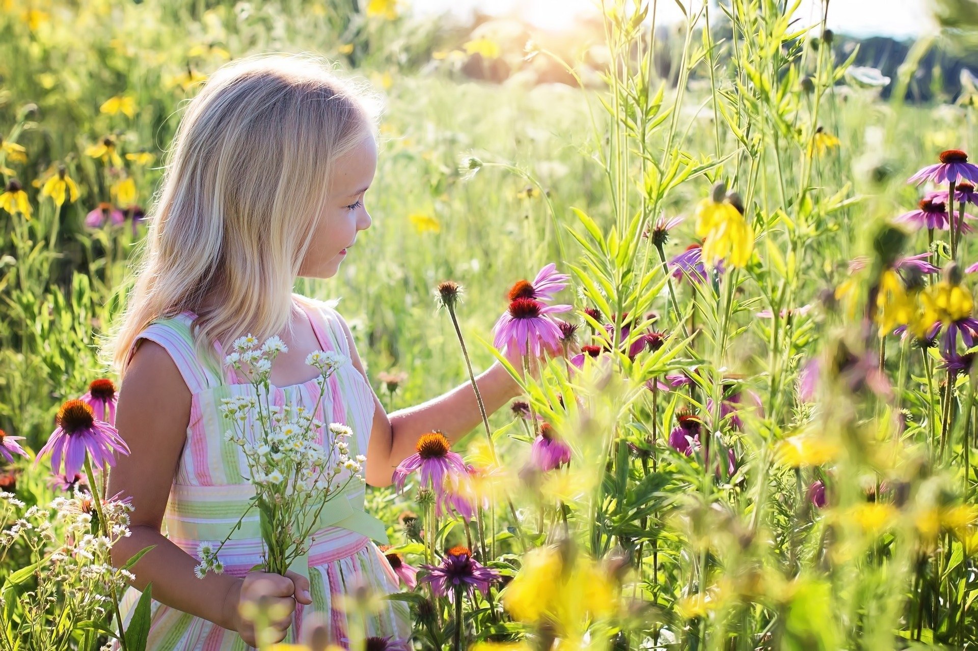 Menina em campo mexendo em flor