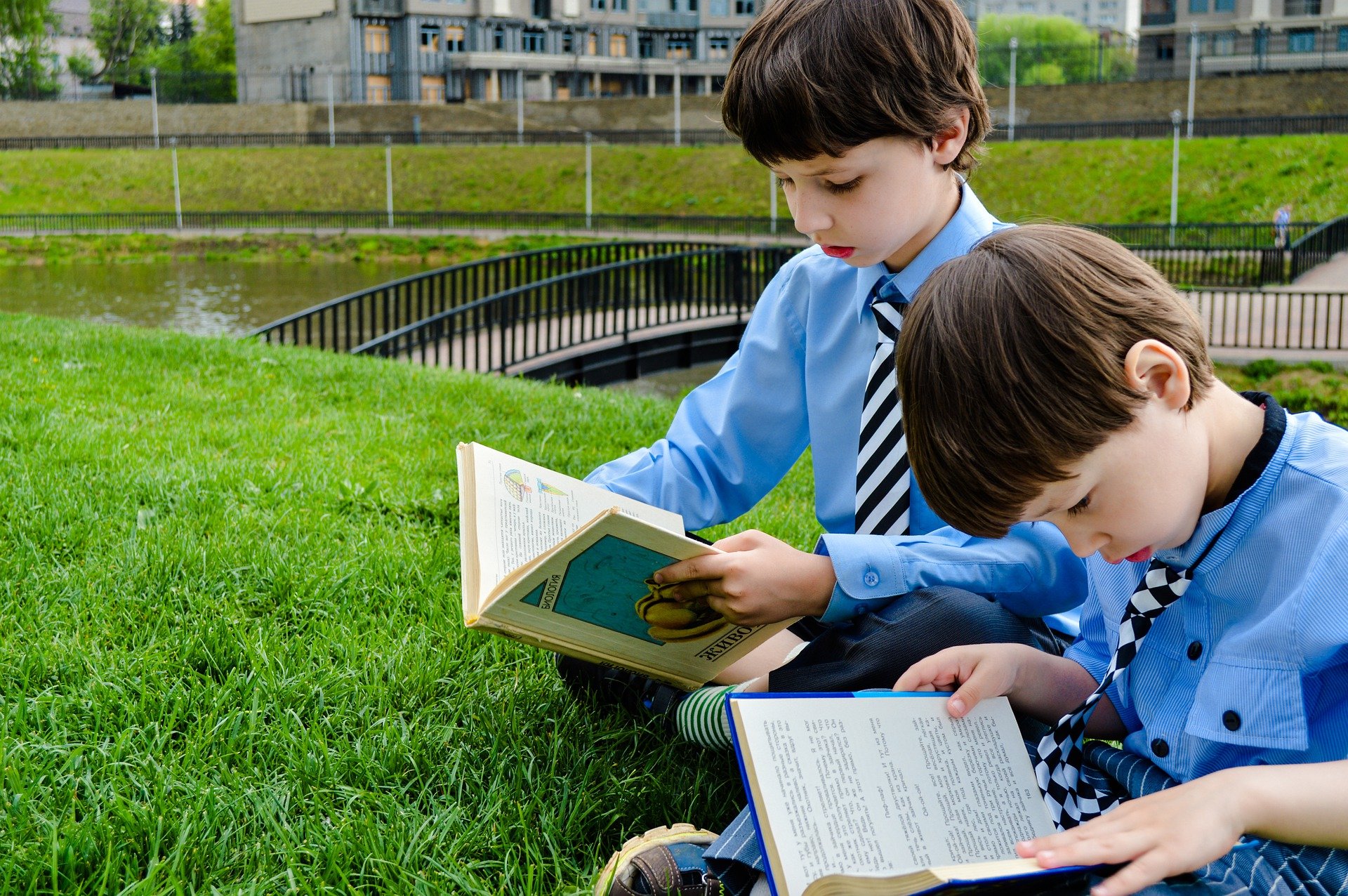 Crianças estudantes lendo livros sentados em campo verde