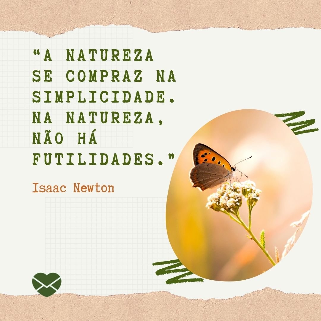 “A natureza se compraz na simplicidade. Na natureza, não há futilidades.” Isaac Newton'- Frases sobre Natureza