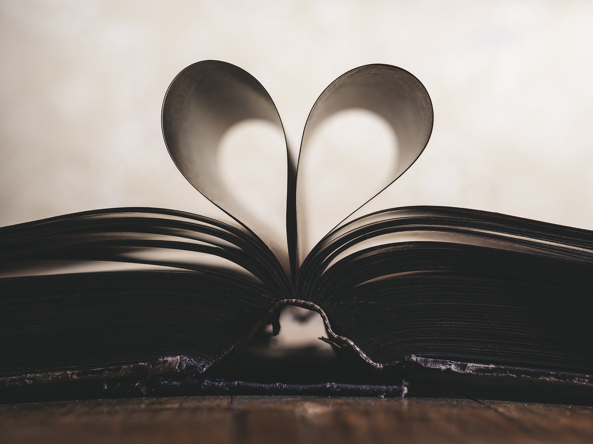 Livro aberto com páginas formando coração