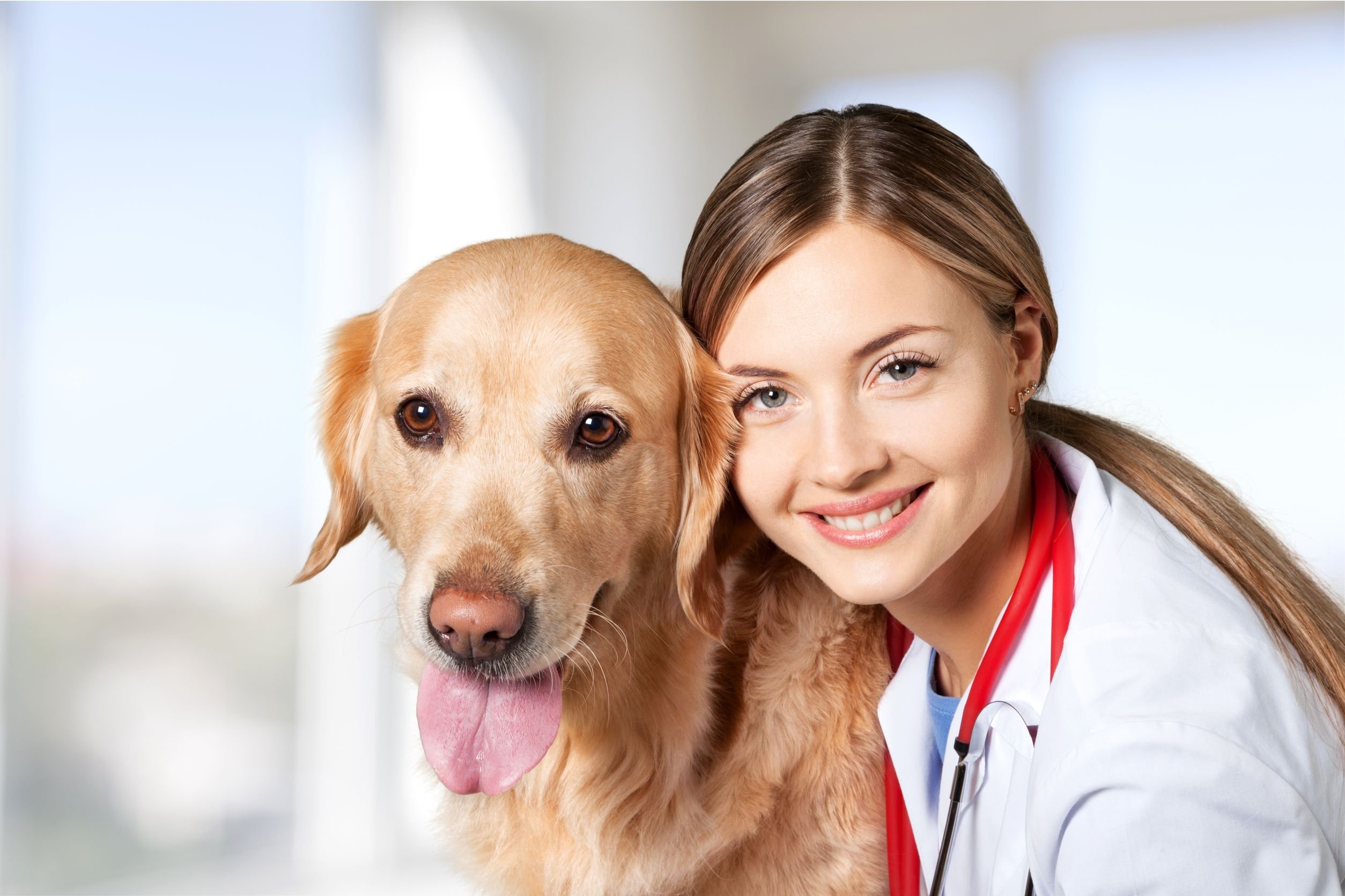 Médica veterinária sorrindo e cachorro ao lado