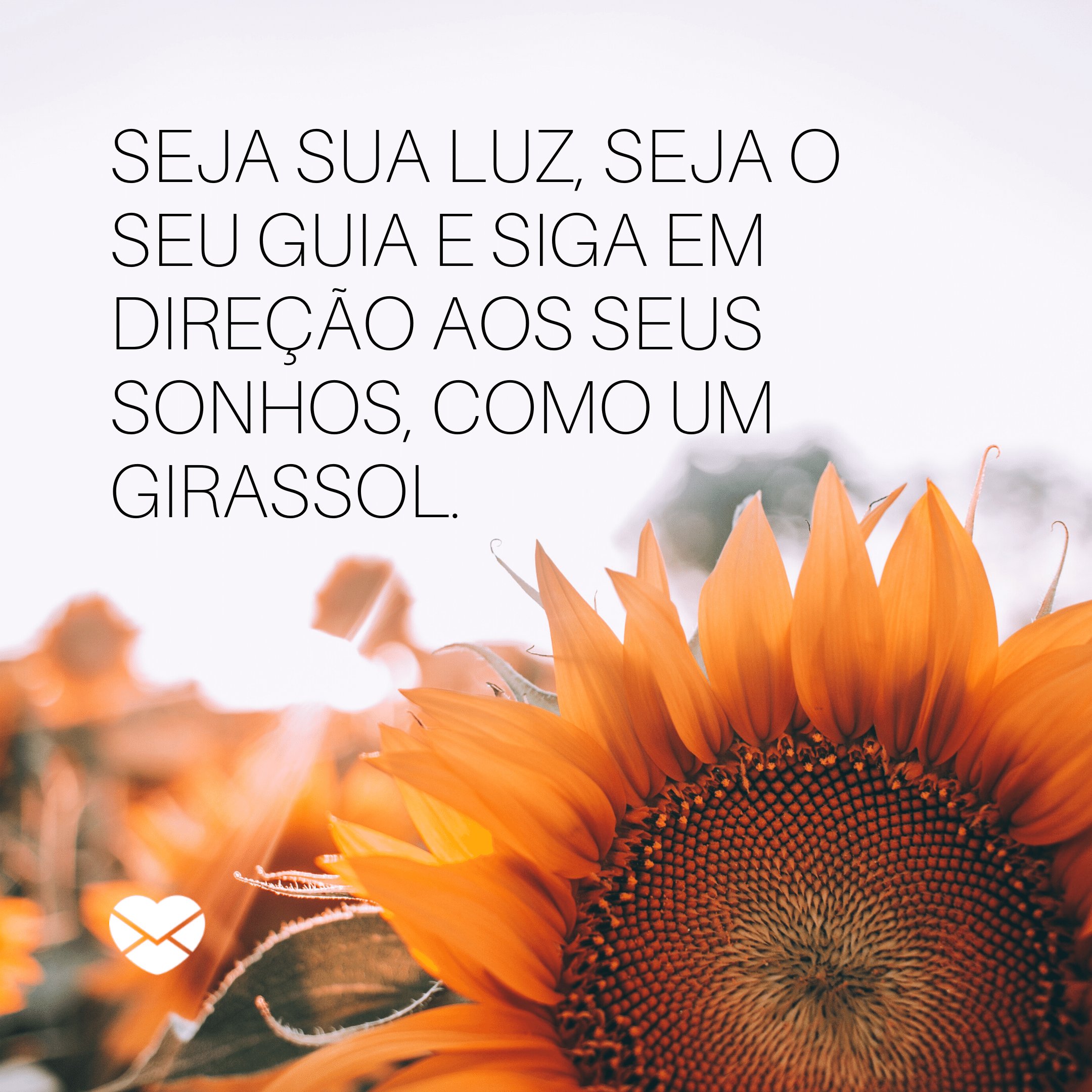 'Seja sua luz, seja o seu guia e siga em direção aos seus sonhos, como um girassol! E sem medo das nuvens, quando escondem o brilho do sol.' - Frases de Girassol