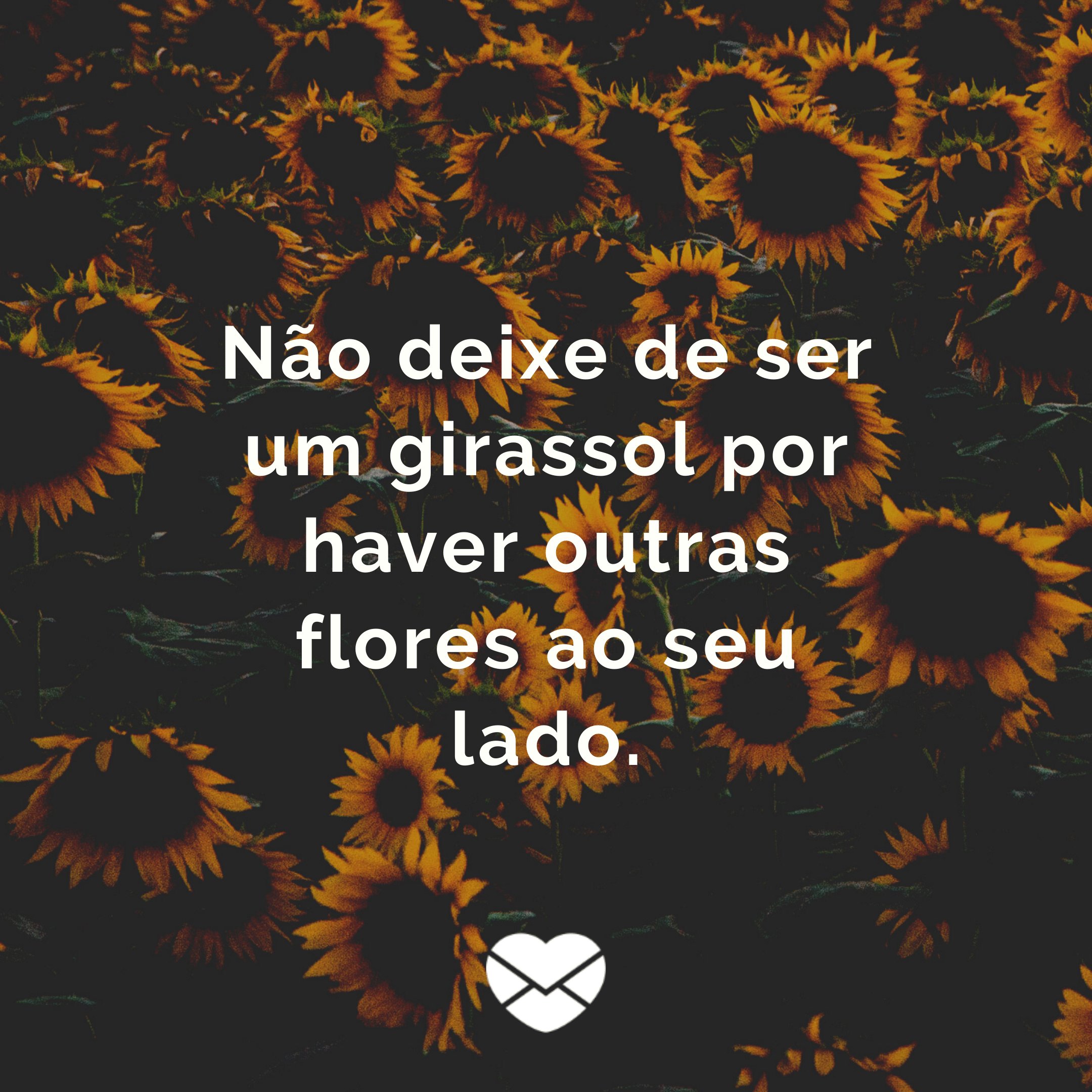 'Não deixe de ser um girassol por haver outras flores ao seu lado.' - Frases de Girassol