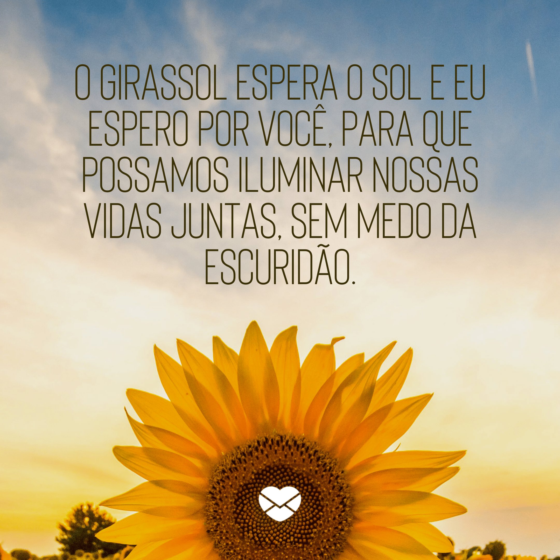 'O girassol espera o sol e eu espero por você, para que possamos iluminar nossas vidas juntas, sem medo da escuridão.' - Frases de Girassol