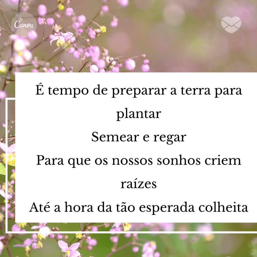 'É tempo de preparar a terra para plantar  Semear e regar  Para que os nossos sonhos criem raízes  Até a hora da tão esperada colheita' - Frases de Setembro