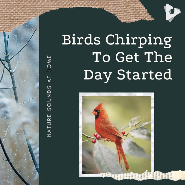 Capa do álbum 'Birds Chirping to Get the Day Started', de Nature Sounds at Home