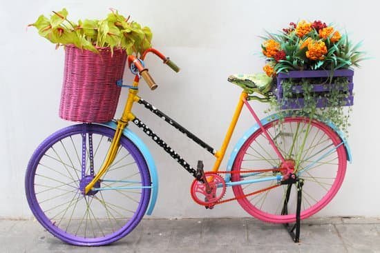 Bicicleta colorida com algumas flores na cesta e no banco do passageiro