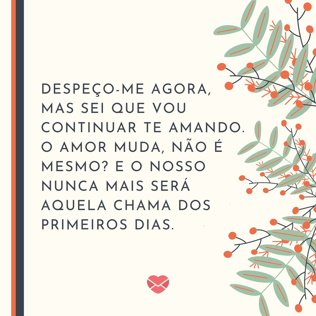 'Despeço-me agora, mas sei que vou continuar te amando. O amor muda, não é mesmo? E o nosso nunca mais será aquela chama dos primeiros dias.' - Cartas de Despedida