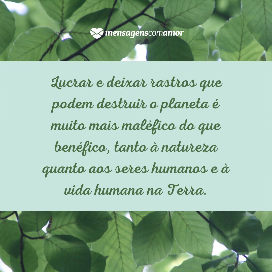 'Lucrar e deixar rastros que podem destruir o planeta é muito mais maléfico do que benéfico, tanto à natureza quanto aos seres humanos e à vida humana na Terra.' - Dicas para tornar o mundo mais sustentável