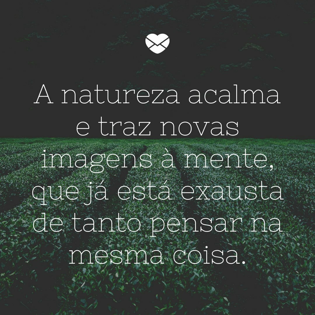 'A natureza acalma e traz novas imagens à mente, que já está exausta de tanto pensar na mesma coisa.' - Sempre vai ter uma forma de superar o sofrimento