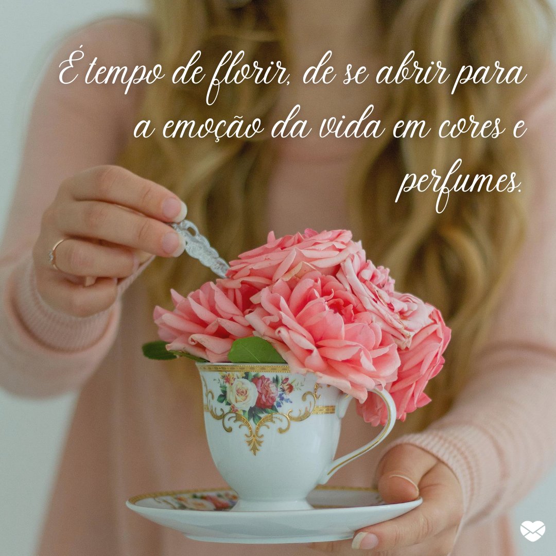 'É tempo de florir, de se abrir para a emoção da vida em cores e perfumes' - Sorria, a primavera chegou!