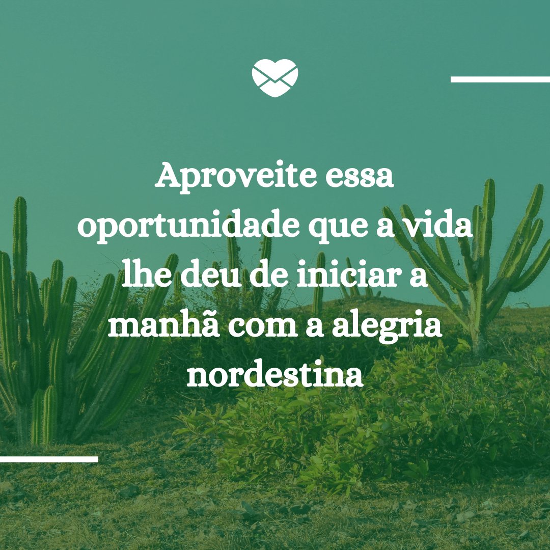 'Aproveite essa oportunidade que a vida lhe deu de iniciar a manhã com a alegria nordestina' - Bom dia, meu amigo nordestino