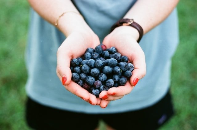 Par de mãos brancas femininas segurando blueberries.