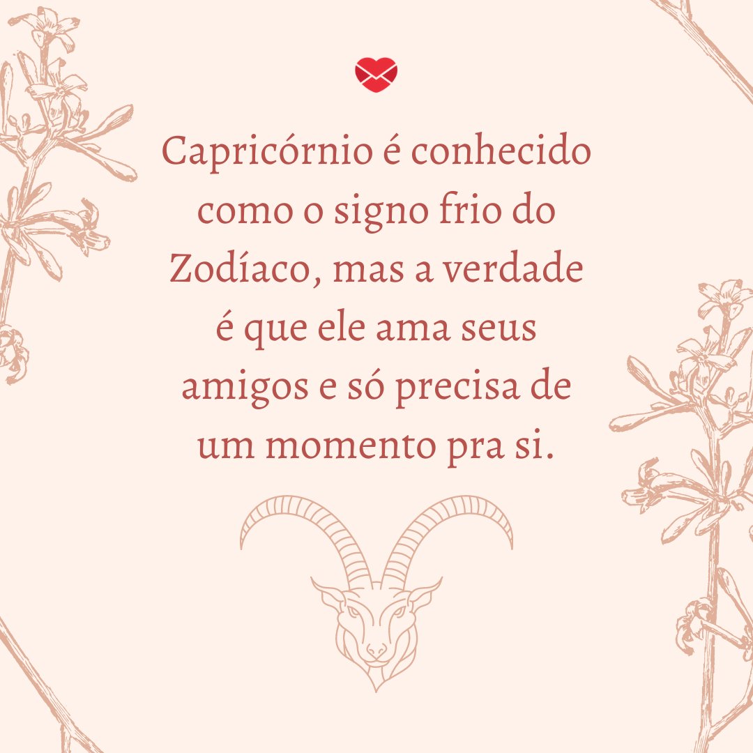 'Capricórnio é conhecido como o signo frio do Zodíaco, mas a verdade é que ele ama seus amigos e só precisa de um momento pra si.' - Frases de Capricórnio