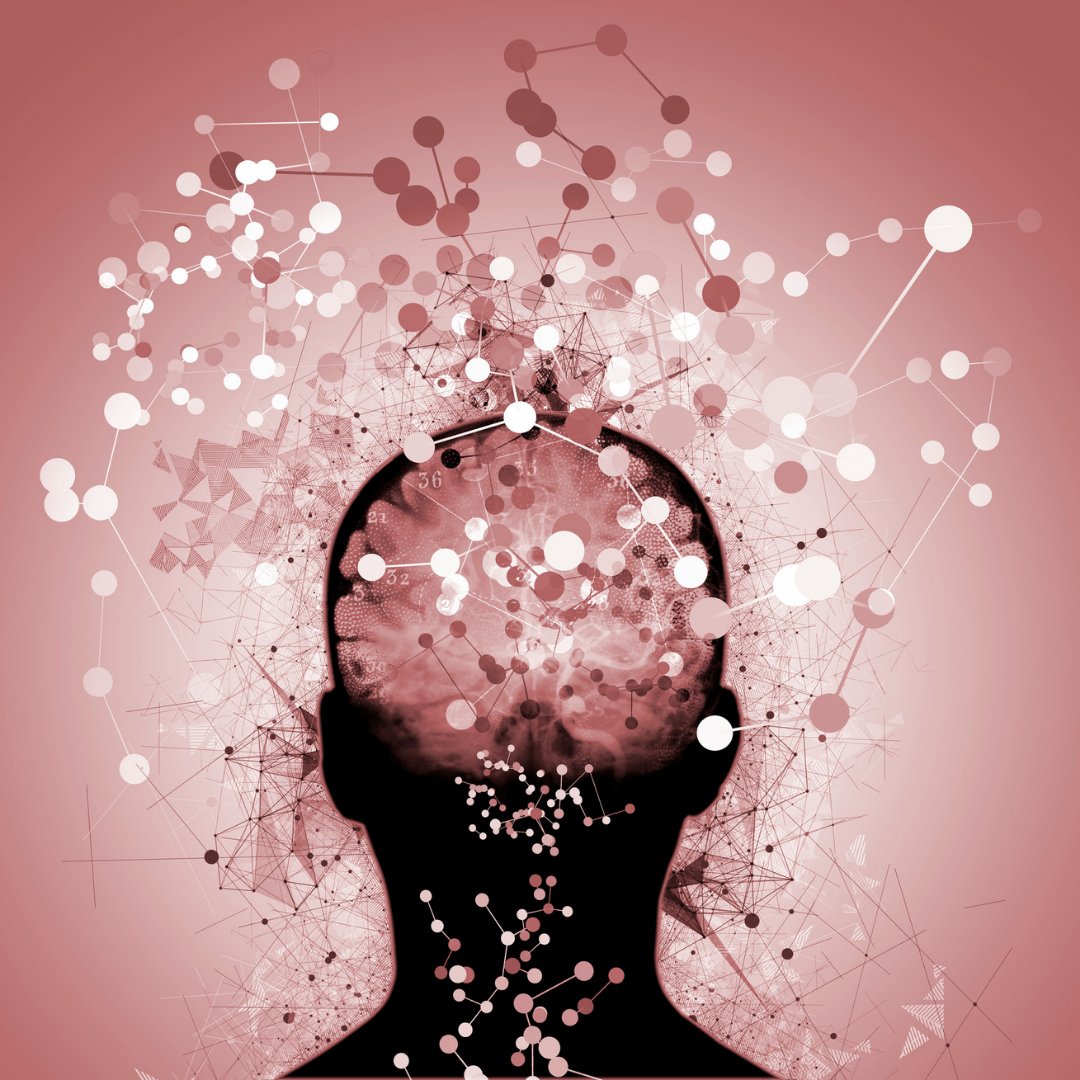 Science Photo Library / Canva Imagem ilustrativa de um cérebro e suas funcionalidades