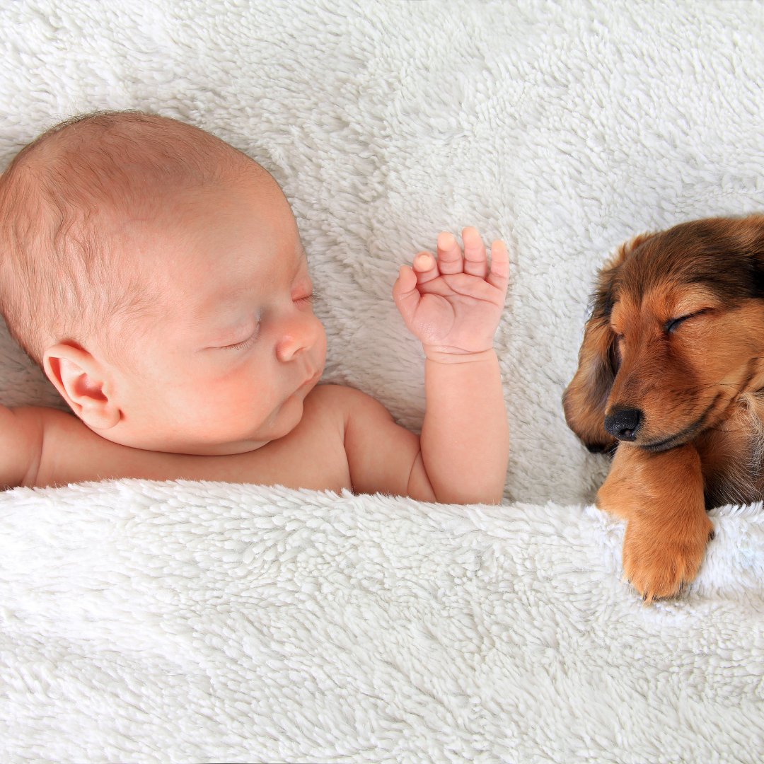 Imagem de um bebê e um cachorro dormindo juntos
