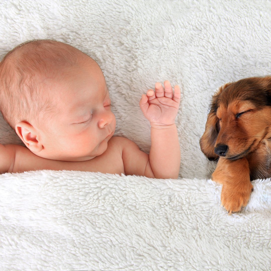 HannamariaH / Getty Images Pro / Canva Imagem de um bebê e um cachorro dormindo juntos