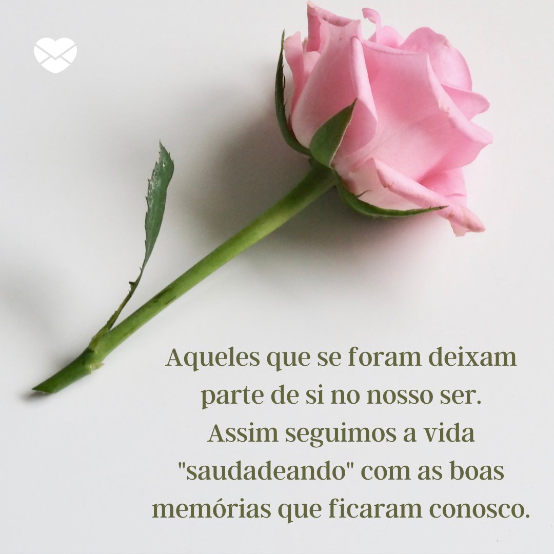 'Aqueles que se foram deixam parte de si no nosso ser. Assim seguimos a vida 'saudadeando' com as boas memórias que ficaram conosco.' -  Dia de Finados