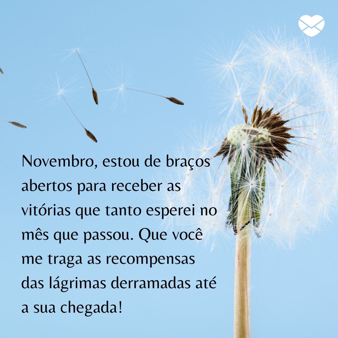 Frases de novembro: dê uma oportunidade para esse lindo mês! Frases de novembro: dê uma oportunidade para esse lindo mês!