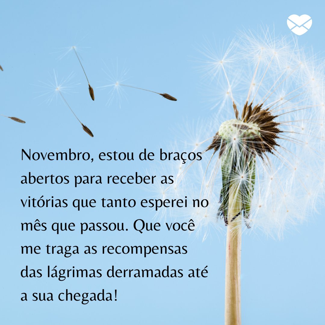 'Novembro, estou de braços abertos para receber as vitórias que tanto esperei no mês que passou. Que você me traga as recompensas das lágrimas derramadas até a sua chegada!' - Frases de Novembro