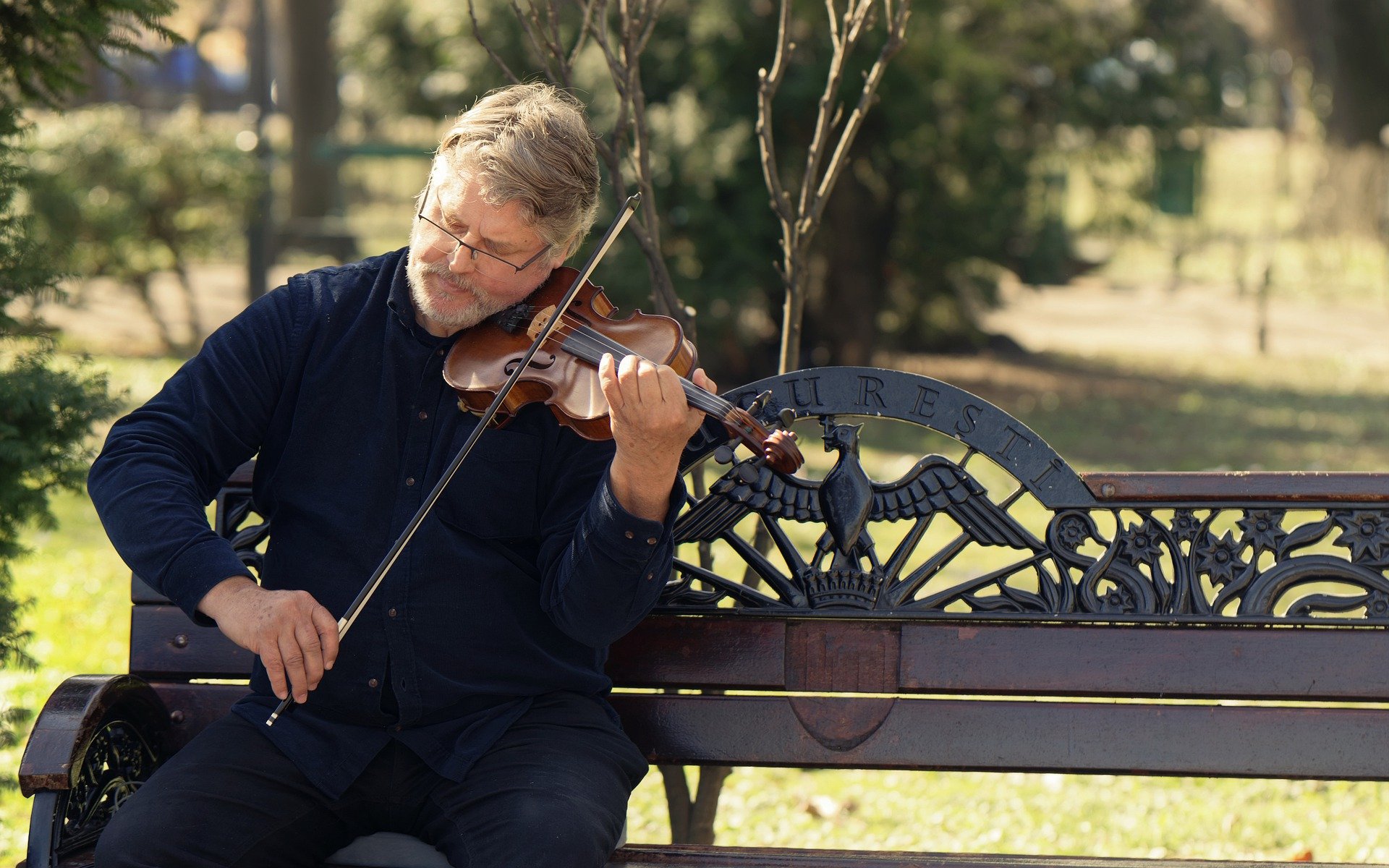 Homem tocando violino, sentado em banco em parque.