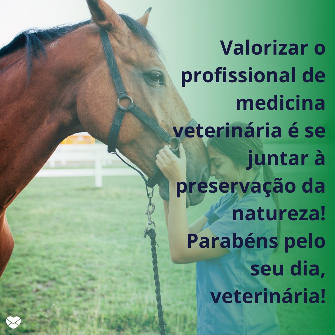 'Valorizar o profissional de medicina veterinária é se juntar à preservação da natureza! Parabéns pelo seu dia, veterinária!' - Feliz Dia do Veterinário.