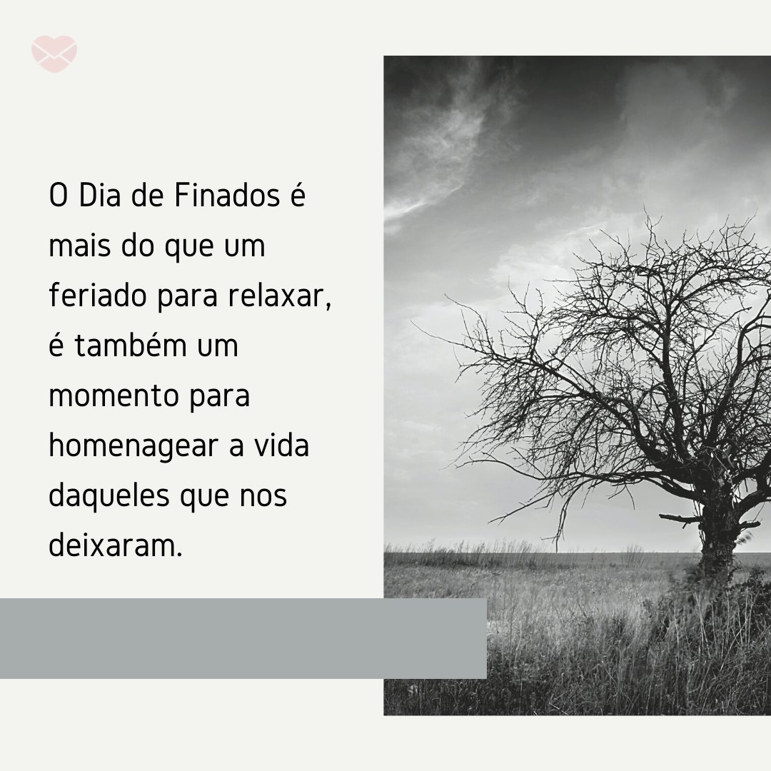 ' O Dia de Finados é mais do que um feriado para relaxar, é também um momento para homenagear a vida daqueles que nos deixaram.' - Mensagens do Dia de Finados para whatsapp