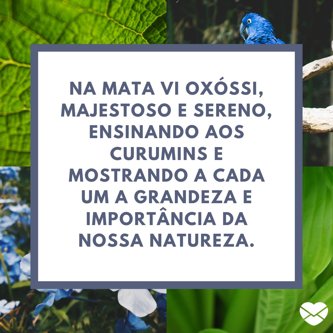 'Na mata vi Oxóssi, majestoso e sereno, ensinando aos curumins e mostrando a cada um a grandeza e importância da nossa natureza.' - Frases de Oxóssi