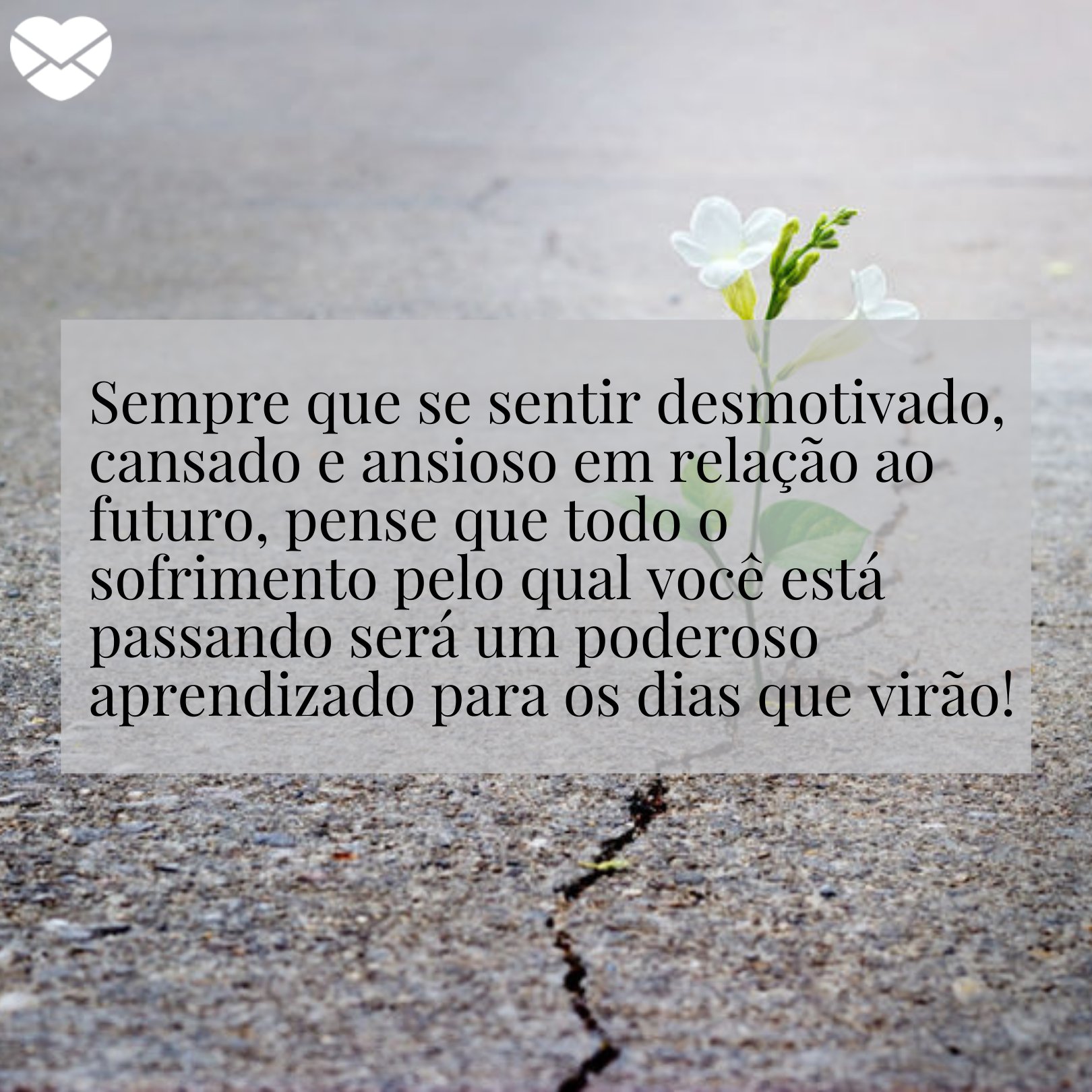 'Sempre que se sentir desmotivado, cansado e ansioso em relação ao futuro, pense que todo o sofrimento pelo qual você está passando será um poderoso aprendizado para os dias que virão!' - Esperança de dias melhores