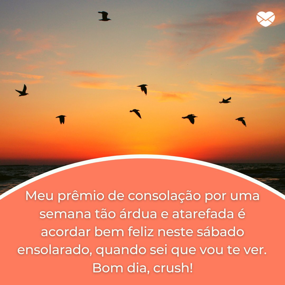 'Meu prêmio de consolação por uma semana tão árdua e atarefada é acordar bem feliz neste sábado ensolarado, quando sei que vou te ver. Bom dia, crush!' - Frases de bom dia para crush